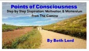 Points of Consciousness Cover